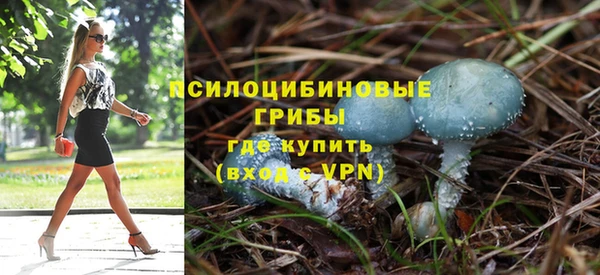 дурь Шадринск