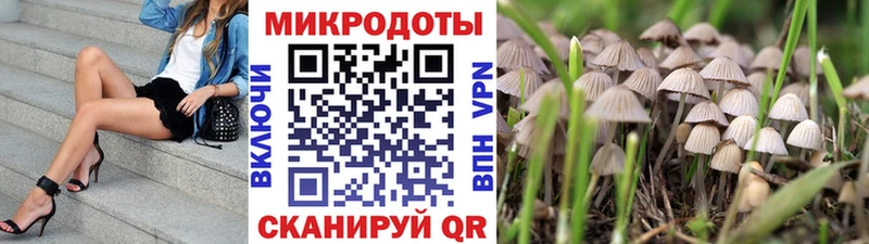 Купить закладки  Чадан  Галлюциногенные грибы мухоморы 